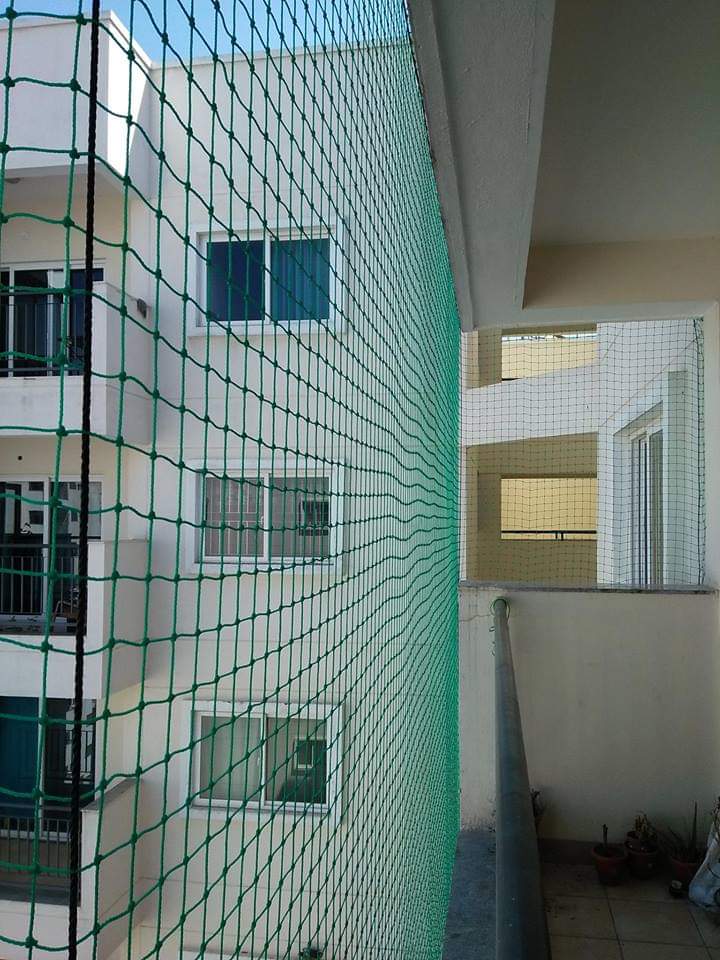 BK Safety Nets Work