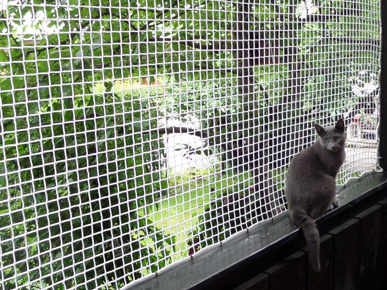 Pets Safety Nets