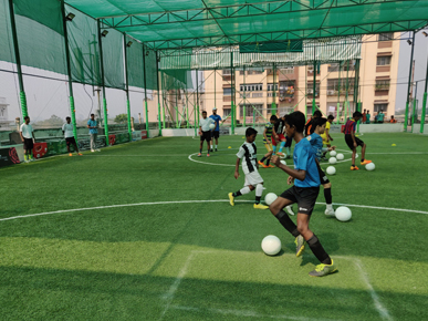 Terrace Top Nets